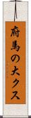 府馬の大クス Scroll