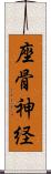 座骨神経 Scroll