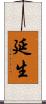 延生 Scroll