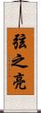 弦之亮 Scroll