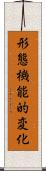 形態機能的変化 Scroll