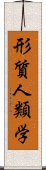 形質人類学 Scroll