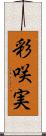 彩咲実 Scroll