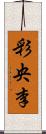 彩央李 Scroll