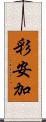 彩安加 Scroll