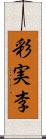 彩実李 Scroll