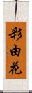 彩由花 Scroll