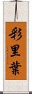 彩里葉 Scroll