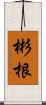 彬根 Scroll