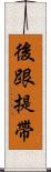 後跟提帶 Scroll