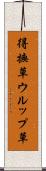 得撫草 Scroll