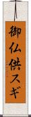 御仏供スギ Scroll