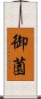 御薗 Scroll