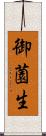 御薗生 Scroll