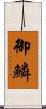 御鱗 Scroll