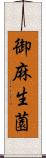 御麻生薗 Scroll