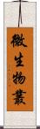 微生物叢 Scroll