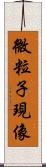 微粒子現像 Scroll