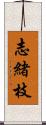 志緒枝 Scroll