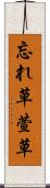 忘れ草 Scroll