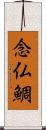 念仏鯛 Scroll