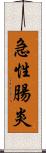 急性腸炎 Scroll