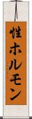性ホルモン Scroll