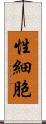 性細胞 Scroll