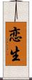 恋生 Scroll