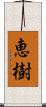 恵樹 Scroll