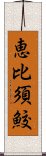 恵比須鮫 Scroll