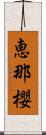 恵那櫻 Scroll