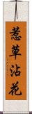 惹草沾花 Scroll