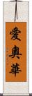 愛奧華 Scroll
