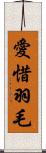 愛惜羽毛 Scroll