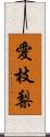 愛枝梨 Scroll