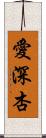 愛深杏 Scroll