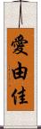 愛由佳 Scroll