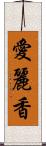 愛麗香 Scroll