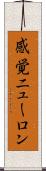 感覚ニューロン Scroll