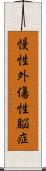 慢性外傷性脳症 Scroll