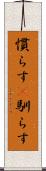 慣らす(P) Scroll