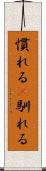 慣れる(P) Scroll