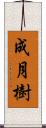 成月樹 Scroll
