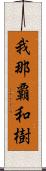 我那覇和樹 Scroll
