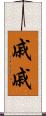 戚戚 Scroll