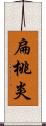 扁桃炎 Scroll