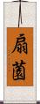 扇薗 Scroll