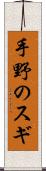 手野のスギ Scroll