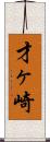 才ヶ崎 Scroll